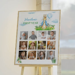 Peter Rabbit Boy Birthday Foto Milestone Zeichen Poster