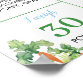 Peter Rabbit First Birthday Party Milestone Poster (Ecke)