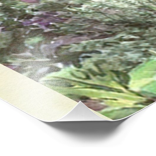 Peter Rabbit Fotodruck (Ecke)