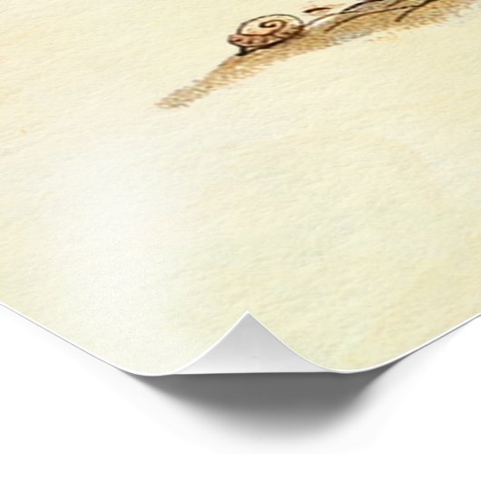 Peter Rabbit Fotodruck (Ecke)