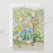 Peter Rabbit Friends Baby Shower Einladung (Rückseite)