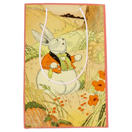 Peter Rabbit Gift Bag Mittlere Geschenktüte (Vorderseite)