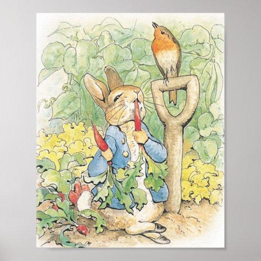 Peter Rabbit im Garten - Beatrix Potter Poster (Vorne)