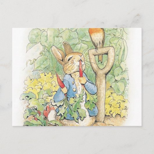 Peter Rabbit im Garten - Beatrix Potter Postkarte (Vorderseite)