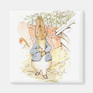 Peter Rabbit im Garten (von Beatrix Potter) Magnet