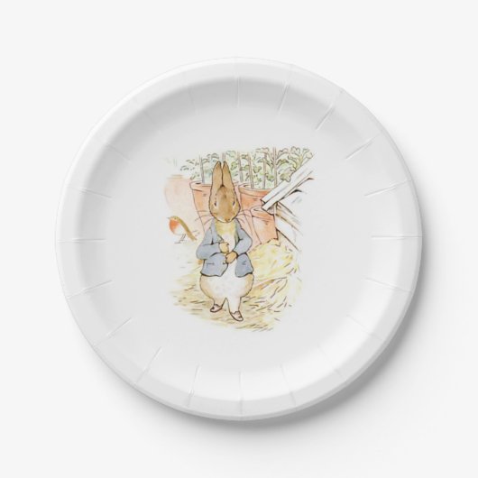 Peter Rabbit im Garten (von Beatrix Potter) Pappteller (Vorderseite)