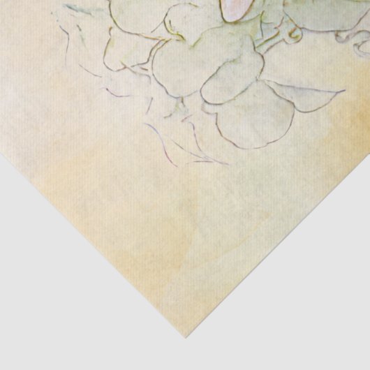 Peter Rabbit (Karotten) Tissue Paper Seidenpapier (Detail)