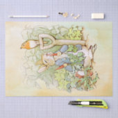 Peter Rabbit (Karotten) Tissue Paper Seidenpapier (Handwerk)