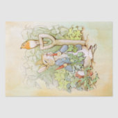 Peter Rabbit (Karotten) Tissue Paper Seidenpapier (Vorderseite)