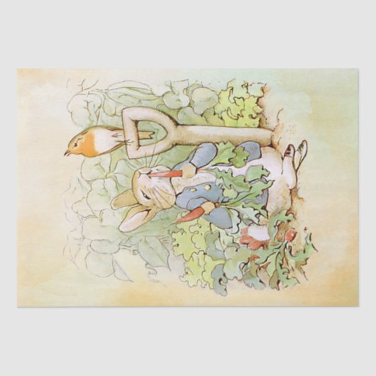 Peter Rabbit (Karotten) Tissue Paper Seidenpapier (Vorderseite)