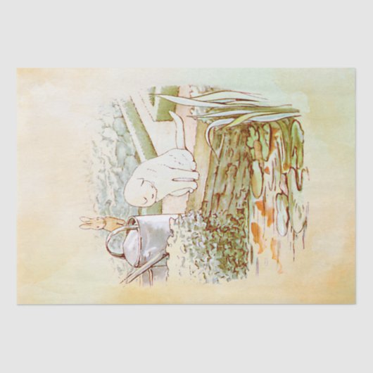 Peter Rabbit (Katze) Gewebepapier Seidenpapier (Vorderseite)