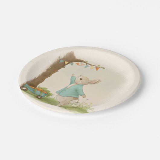 Peter Rabbit Kindergeburtstag & Game Pappteller (Schrägansicht)