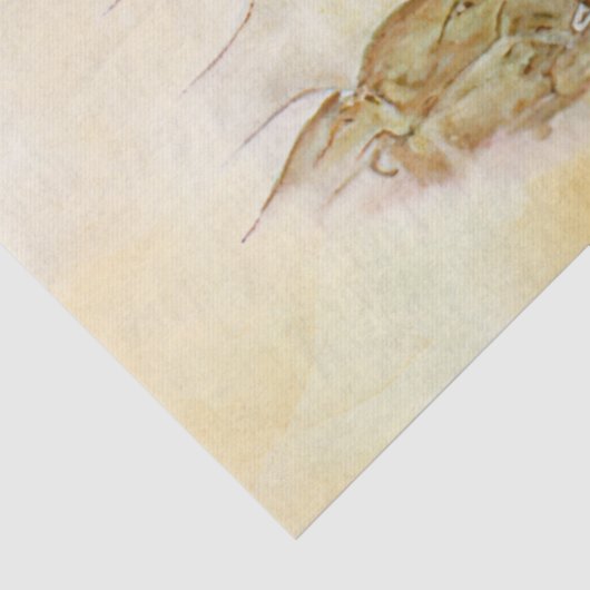 Peter Rabbit (Mutti) Tissue Paper Seidenpapier (Detail)