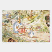 Peter Rabbit Nachbarschaft von Beatrix Potter Geschenkpapier Set (Vorderseite)