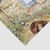 Peter Rabbit Nachbarschaft von Beatrix Potter Seidenpapier (Detail)