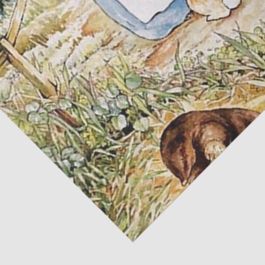 Peter Rabbit Nachbarschaft von Beatrix Potter Seidenpapier (Detail)