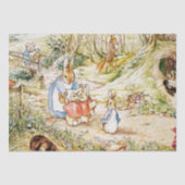 Peter Rabbit Nachbarschaft von Beatrix Potter Seidenpapier (Vorderseite)