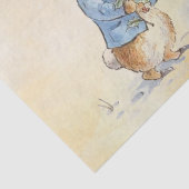 Peter Rabbit (Schneemann) Gewebepapier Seidenpapier (Detail)