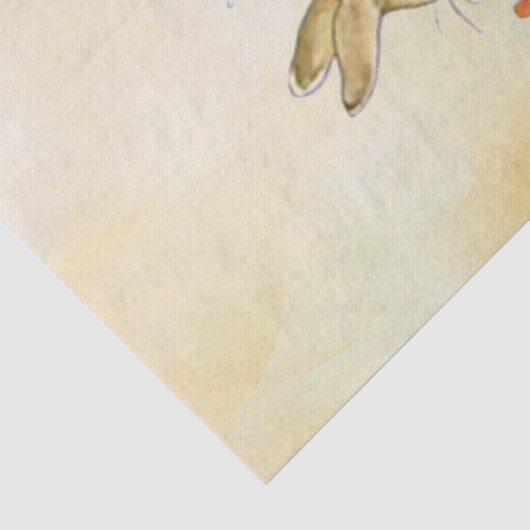 Peter Rabbit (Schuh) Gewebepapier Seidenpapier (Detail)