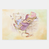 Peter Rabbit Set Geschenkpapier Set (Vorderseite 2)