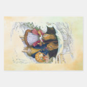 Peter Rabbit Set Geschenkpapier Set (Vorderseite)