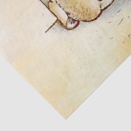 Peter Rabbit Tissue Paper Seidenpapier (Detail)