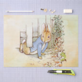 Peter Rabbit Tissue Paper Seidenpapier (Handwerk)