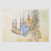 Peter Rabbit Tissue Paper Seidenpapier (Vorderseite)