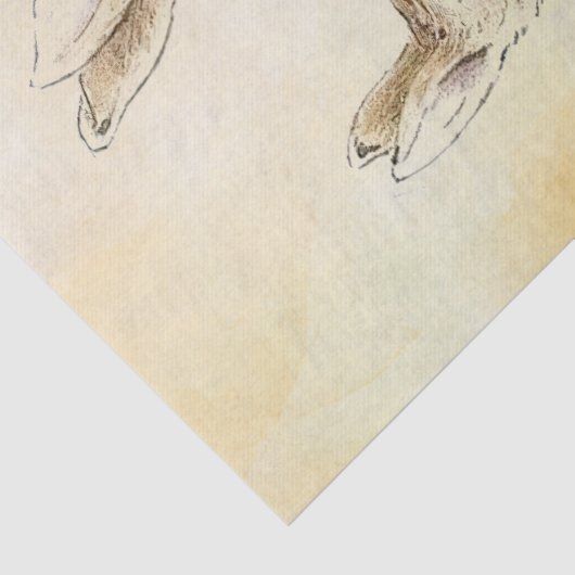 Peter Rabbit Tissue Paper Seidenpapier (Detail)