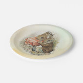 Peter Rabbit und Beniamin Bunny Paper Tellers Pappteller (Schrägansicht)