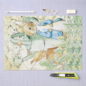 Peter Rabbit und Vogelzellenpapier Seidenpapier (Handwerk)