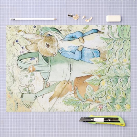 Peter Rabbit und Vogelzellenpapier Seidenpapier (Handwerk)