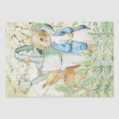 Peter Rabbit und Vogelzellenpapier Seidenpapier (Vorderseite)