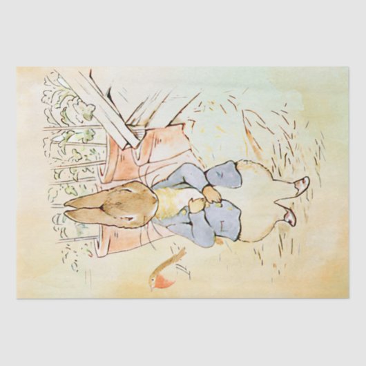 Peter Rabbit (Vogel) Gewebepapier Seidenpapier (Vorderseite)