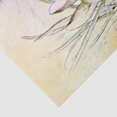 Peter Rabbit (Zwiebel) Gewebepapier Seidenpapier (Detail)