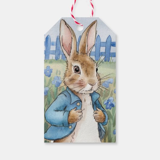 Peter Rabbit's Garden Boy Birthday Bash Geschenkanhänger (Rückseite)