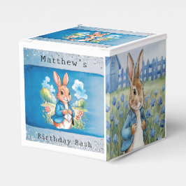 Peter Rabbit's Garden Boy Birthday Bash Geschenkschachtel