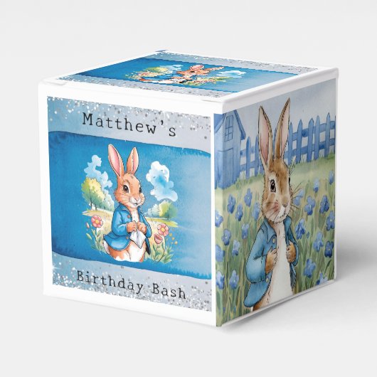 Peter Rabbit's Garden Boy Birthday Bash Geschenkschachtel (Vorderseite)