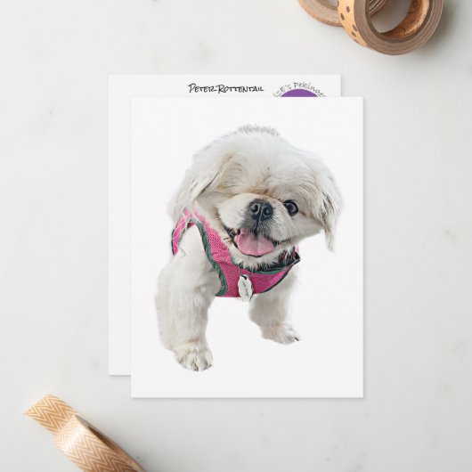 Peter Rottentail Mitteilungskarten (Vorderseite/Rückseite Beispiel)