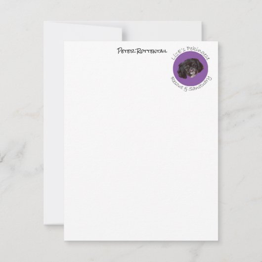 Peter Rottentail Mitteilungskarten (Rückseite)