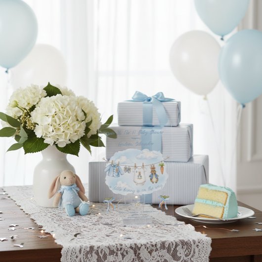 Peter the Rabbit Cute Clothesline Baby Shower  Acryleinladungen