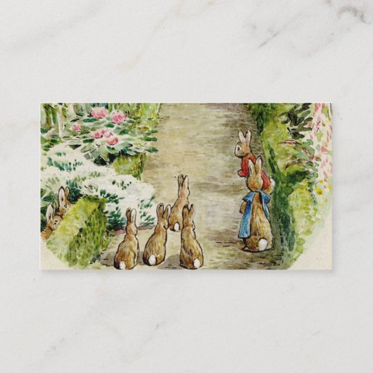 Peter the Rabbit Garden Baby Duwer Diaper Raffle Begleitkarte (Rückseite)