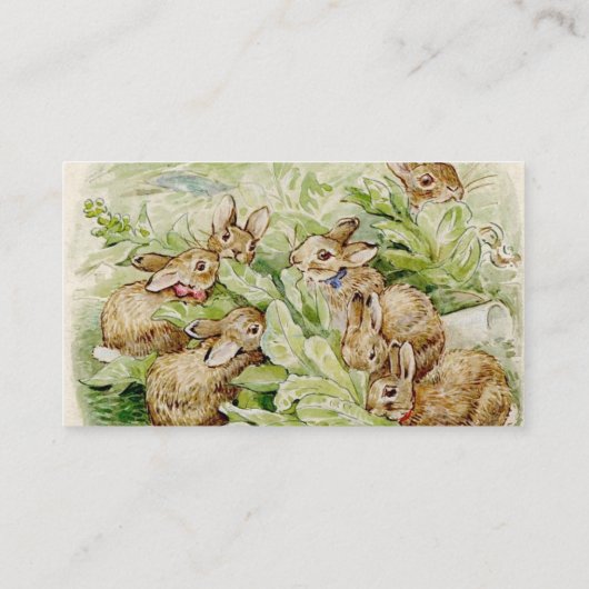 Peter the Rabbit Garden Baby Showbuchanfrage Begleitkarte (Rückseite)