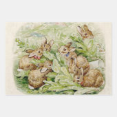 Peter the Rabbit Garden Baby Shower Geschenkpapier Set (Vorderseite 3)