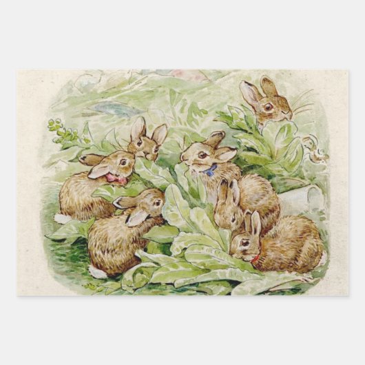 Peter the Rabbit Garden Baby Shower Geschenkpapier Set (Vorderseite 3)