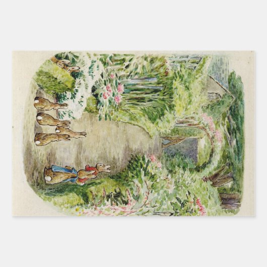 Peter the Rabbit Garden Baby Shower Geschenkpapier Set (Vorderseite 2)