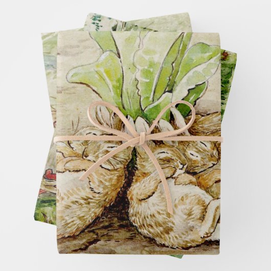Peter the Rabbit Garden Baby Shower Geschenkpapier Set (Beispiel)