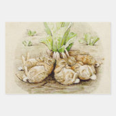 Peter the Rabbit Garden Baby Shower Geschenkpapier Set (Vorderseite)