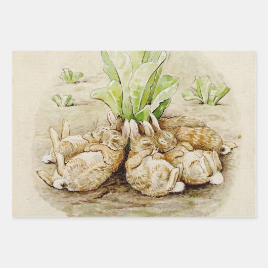 Peter the Rabbit Garden Baby Shower Geschenkpapier Set (Vorderseite)