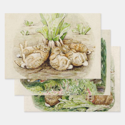 Peter the Rabbit Garden Baby Shower Geschenkpapier Set (Set)